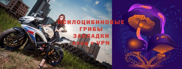 a pvp Аркадак