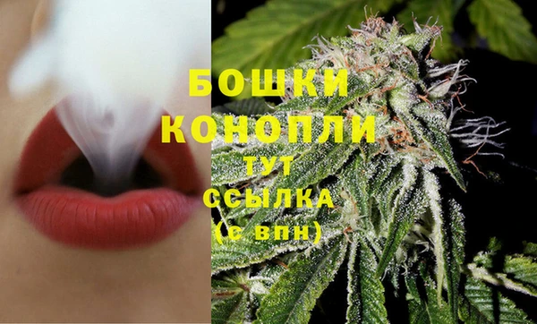 ГАЛЛЮЦИНОГЕННЫЕ ГРИБЫ Балабаново