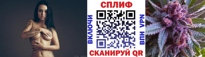 Бошки марихуана конопля  Солигалич 